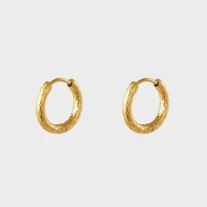 Øreringe | Favoritter*Winther Studio Snakeskin Hoops